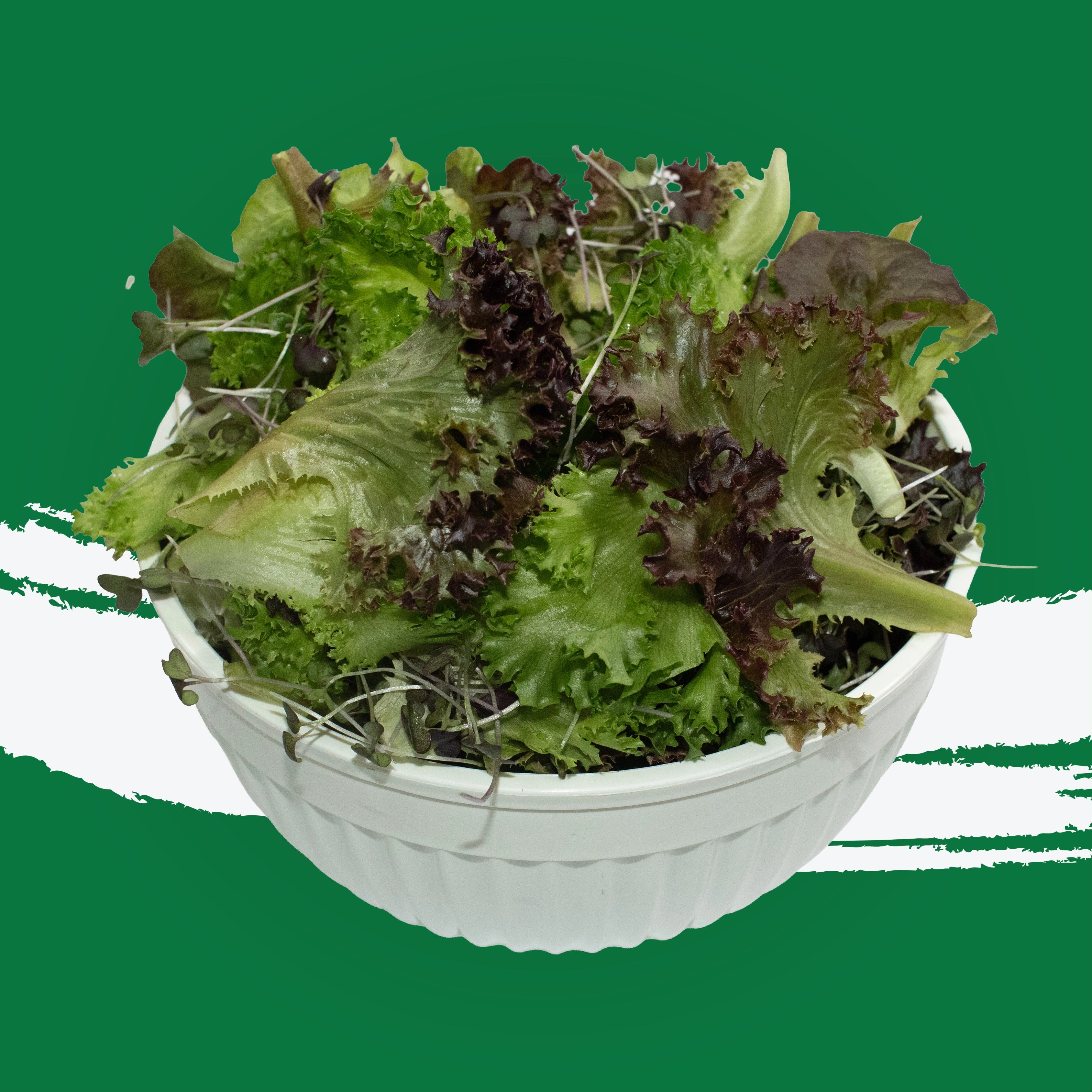 Uns Signature Mix 500G Clear Pet Bag