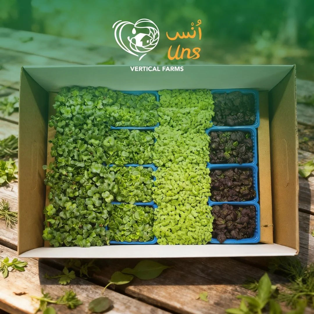 UNS Shiso Microgreen Mix 16 Punnet Carton