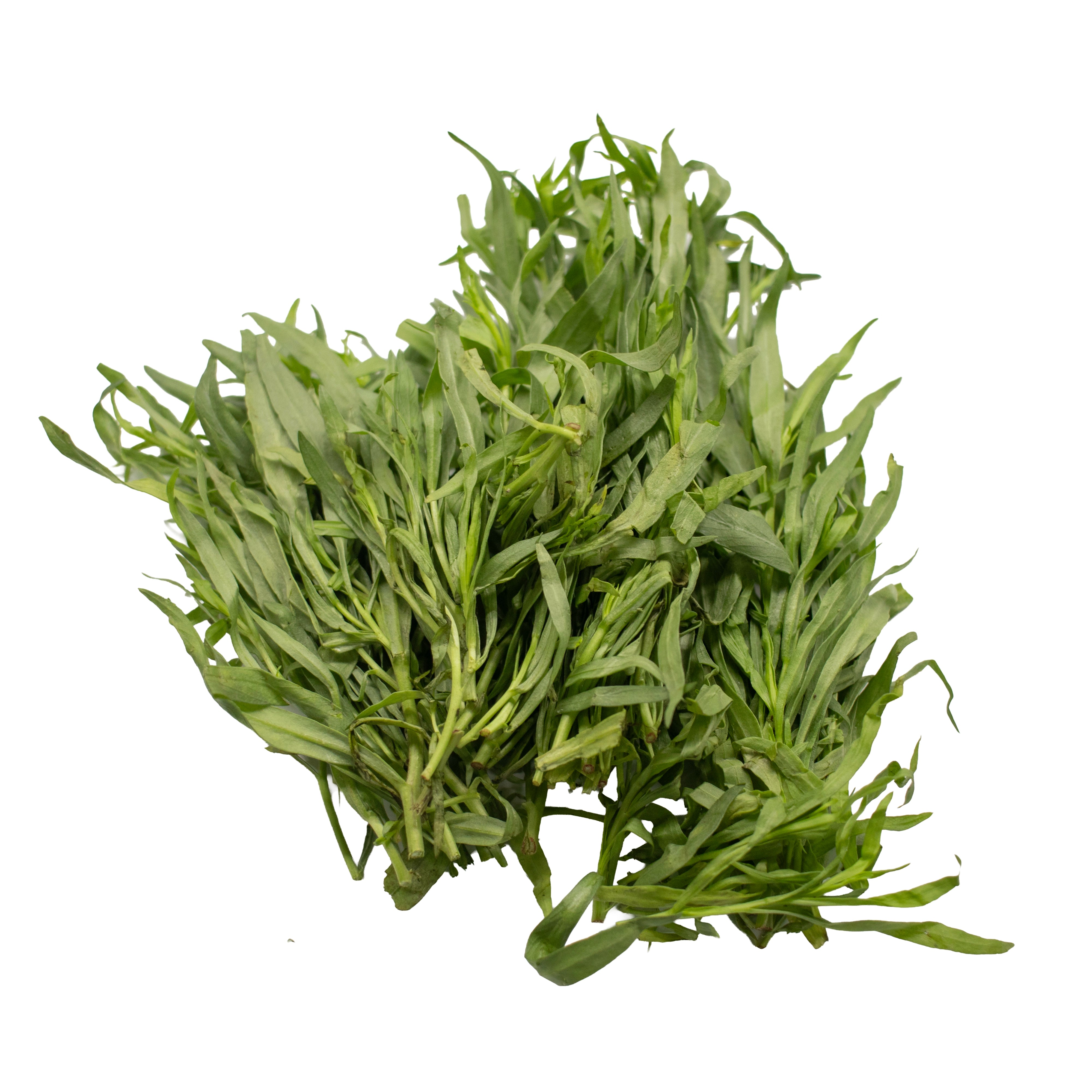 UNS Tarragon 50g Kraft Box