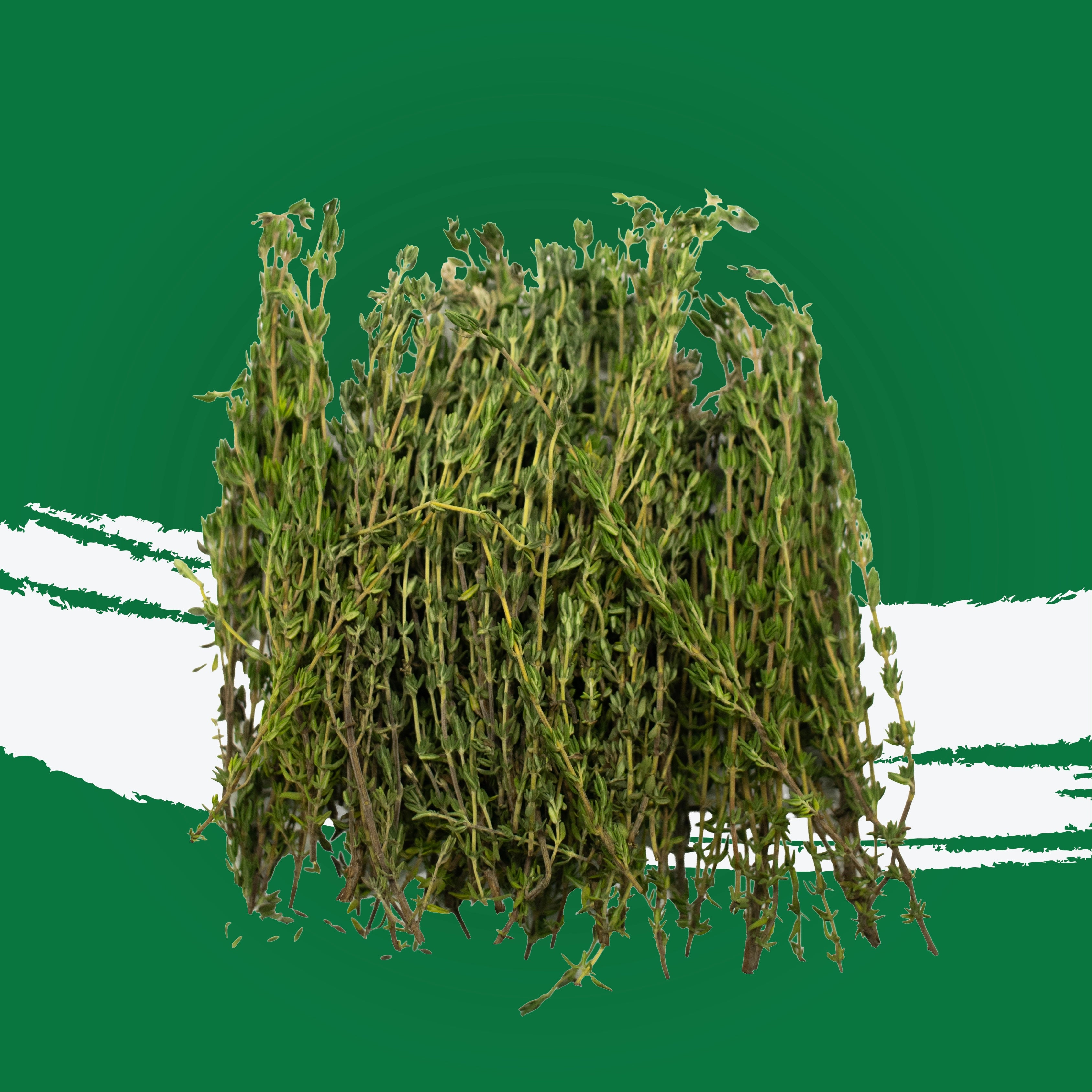 UNS Thyme 50g Kraft Box