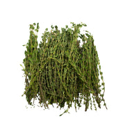 UNS Thyme 50g Kraft Box