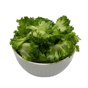 Uns Unsberg Lettuce 100G Clear Pet Box.