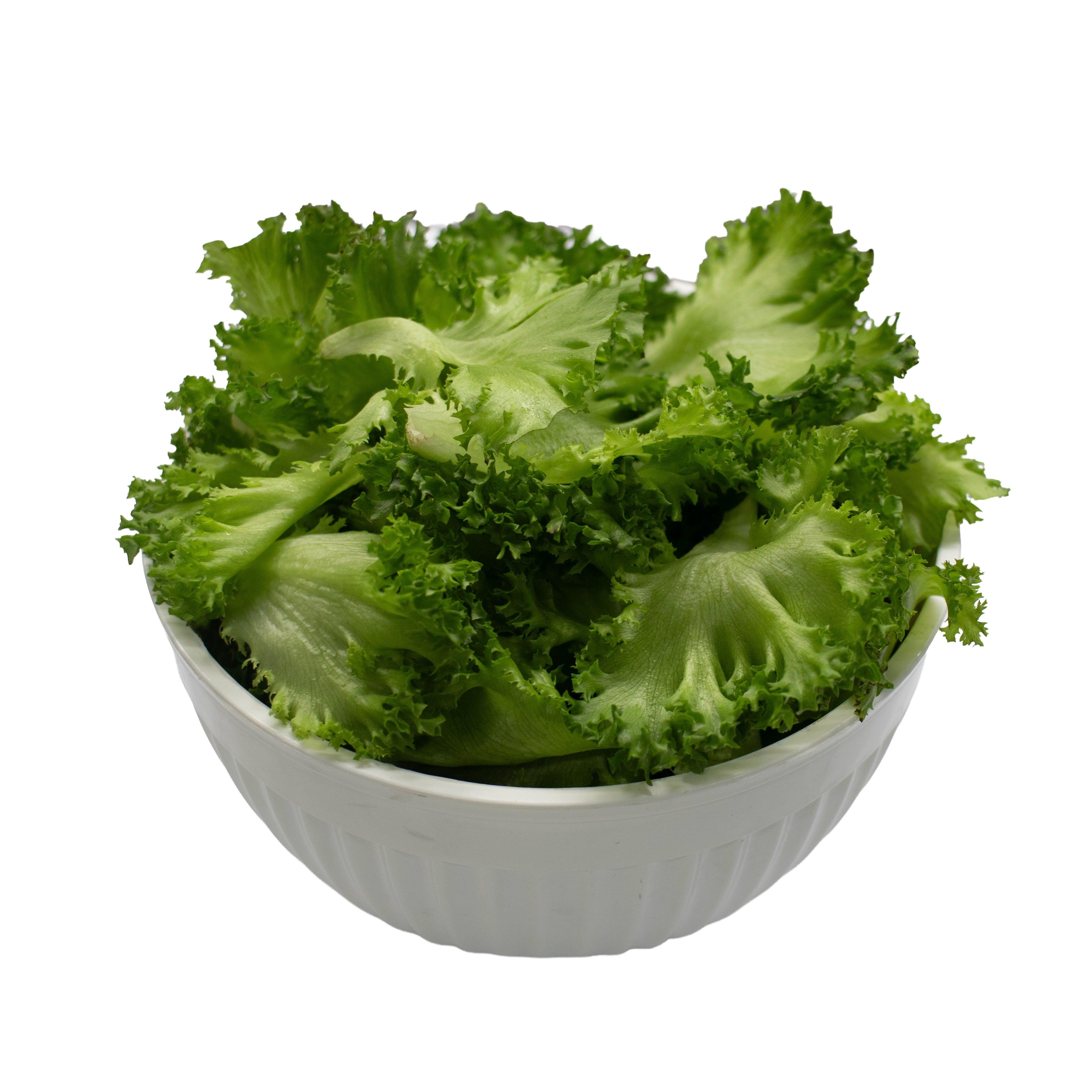 Unsberg (Leaf Only) 250G Clear Pet Bag