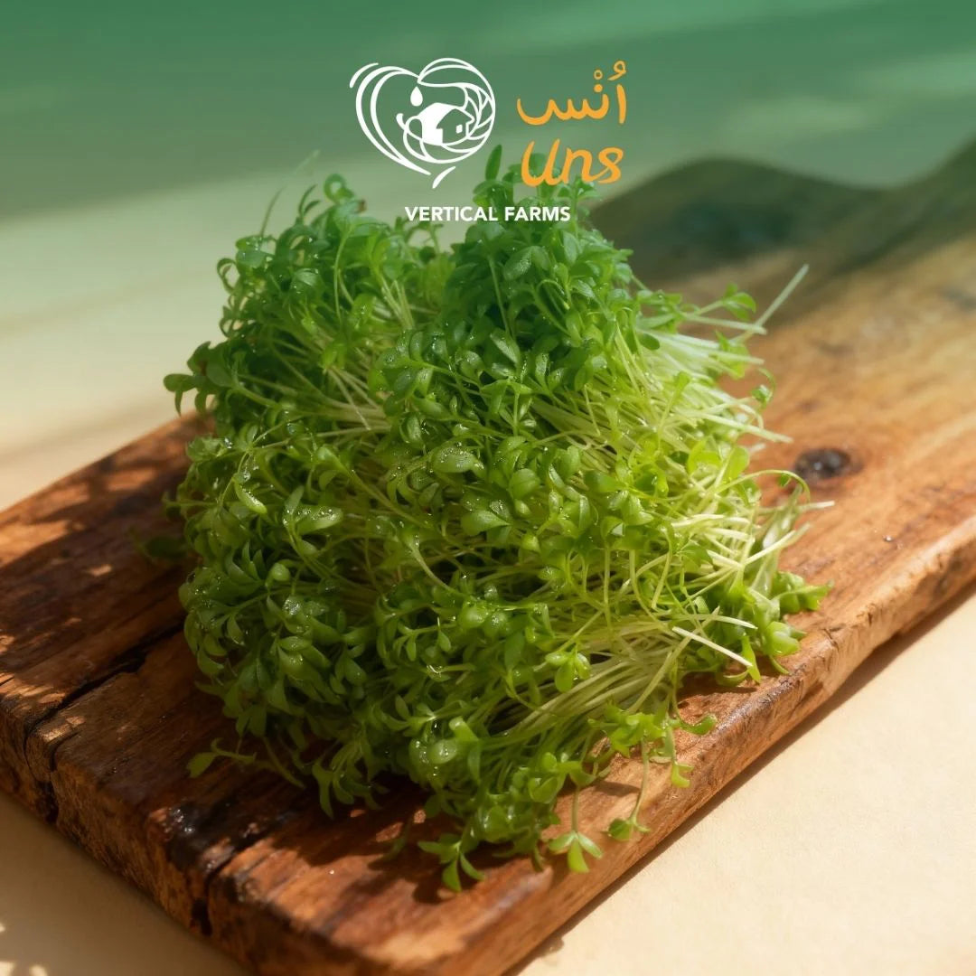 Uns Wasabi Cress 30G Clear Pet Box