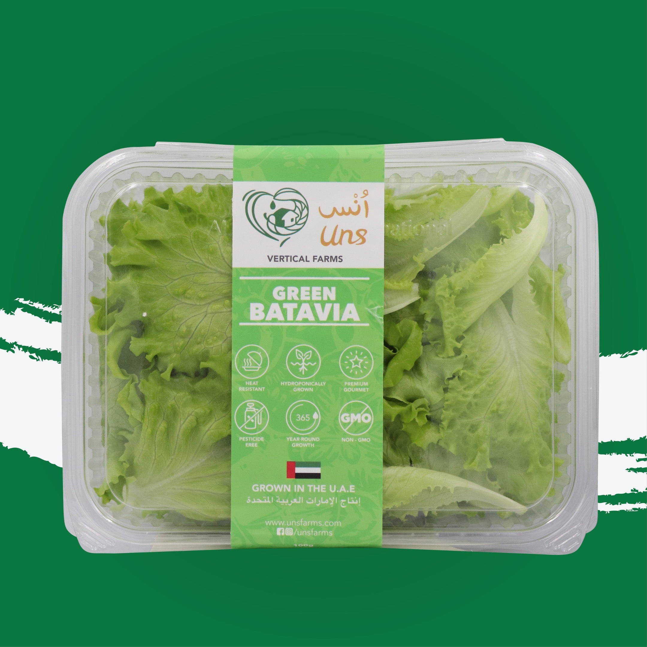 UNS Green Batavia Lettuce 250g Clear Pet Bag