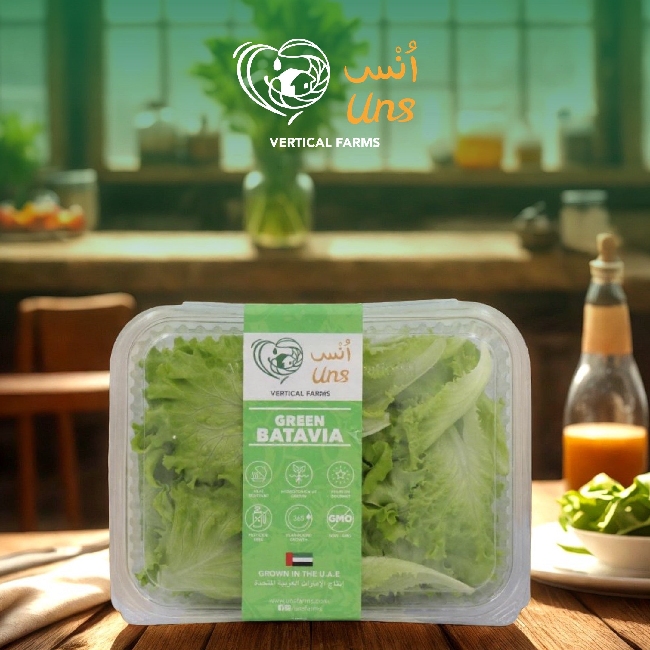 UNS Green Batavia Lettuce 250g Clear Pet Bag