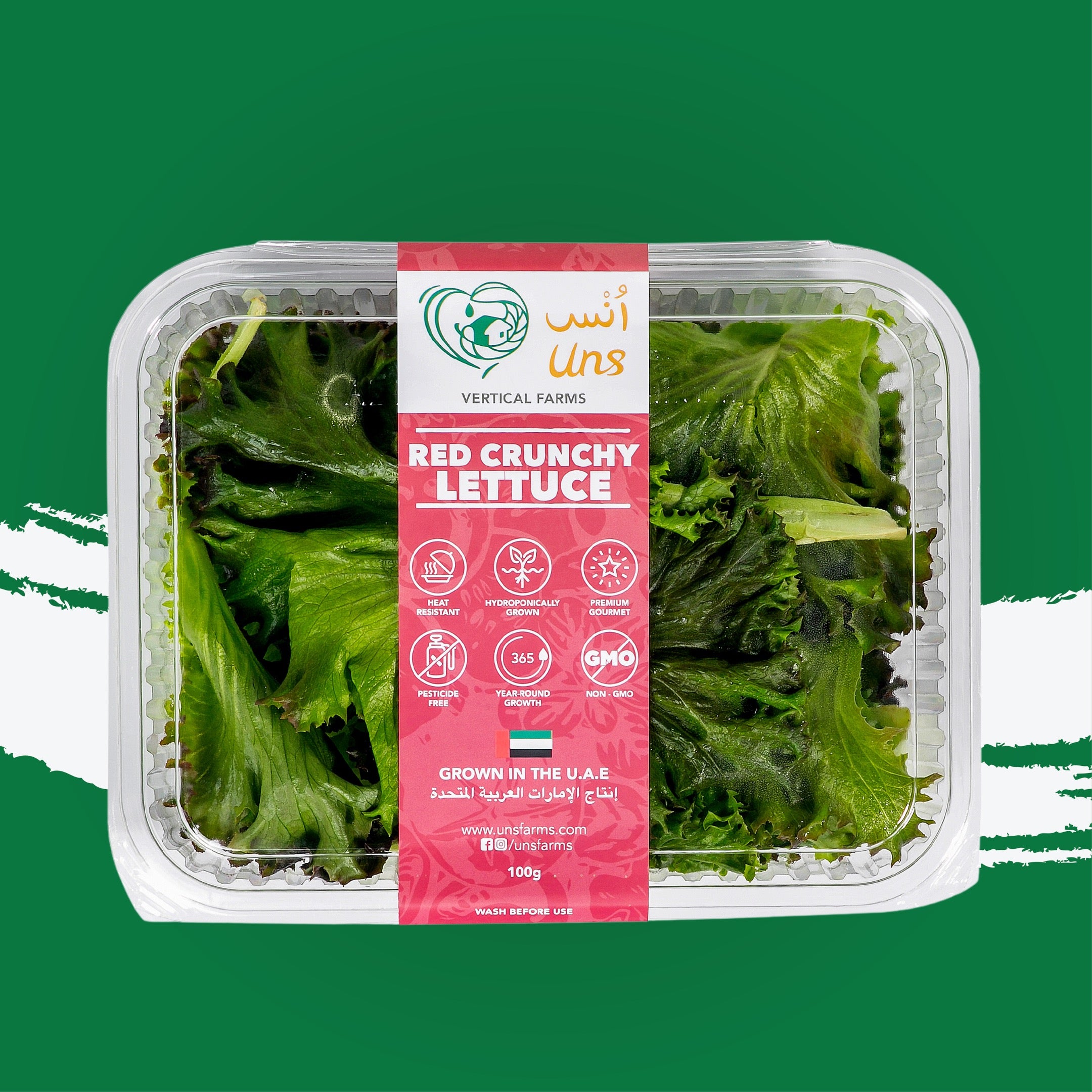 UNS Red Crunchy Lettuce 250g Clear Pet Bag
