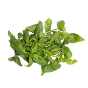 UNS spearmint – fresh herbs grown in UAE