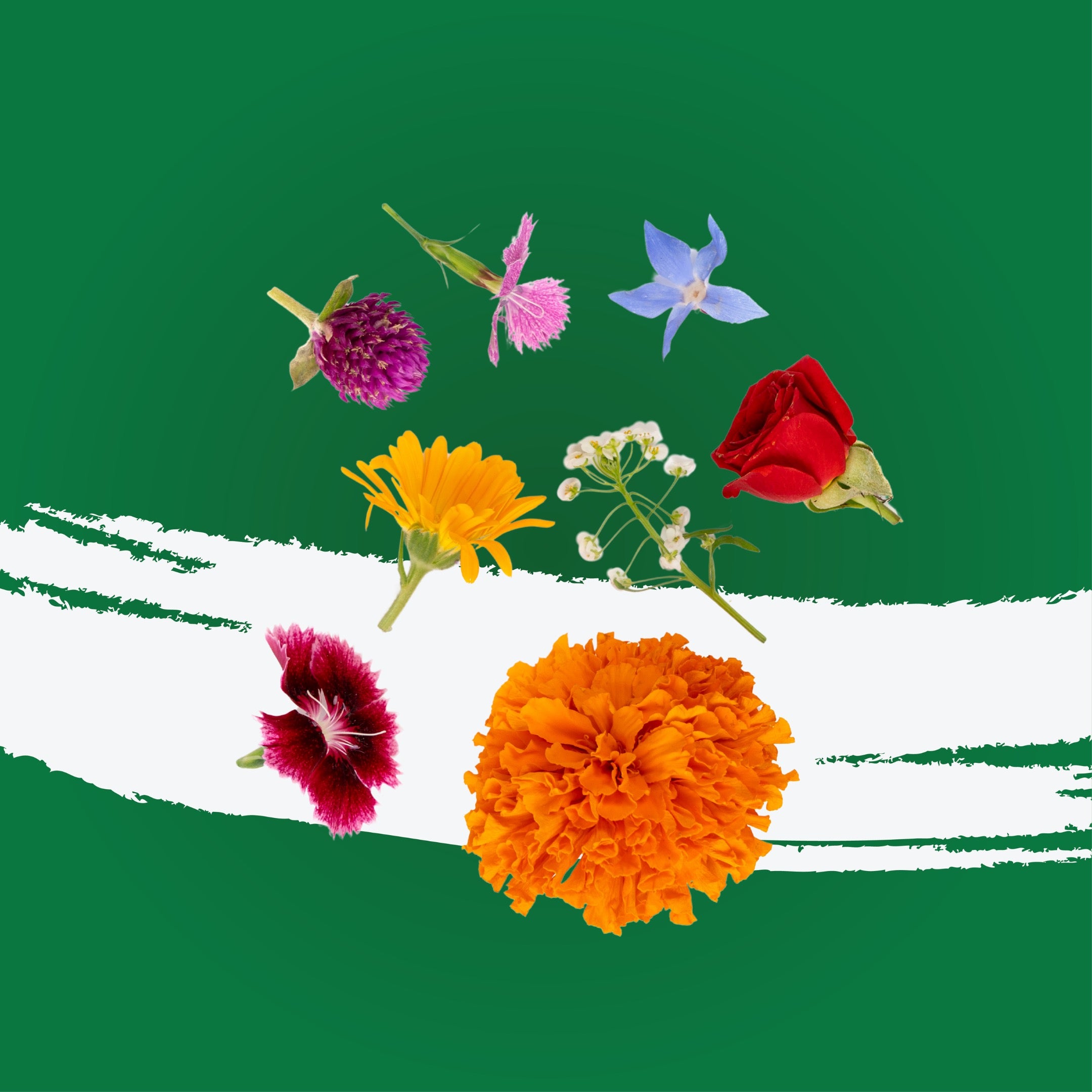 UNS Special Flower Mix 25Pcs Clear Pet Box