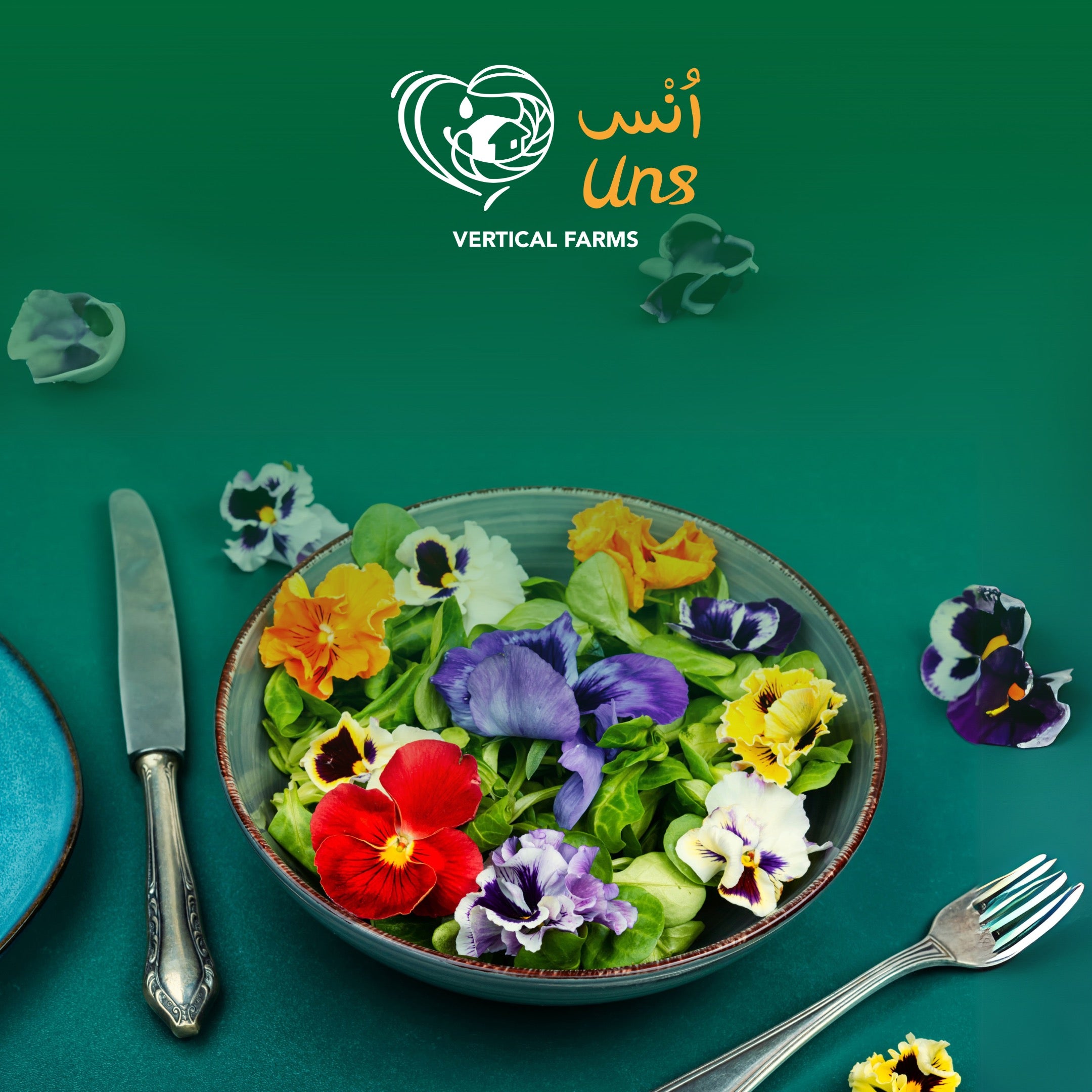 UNS Special Flower Mix 25Pcs Clear Pet Box