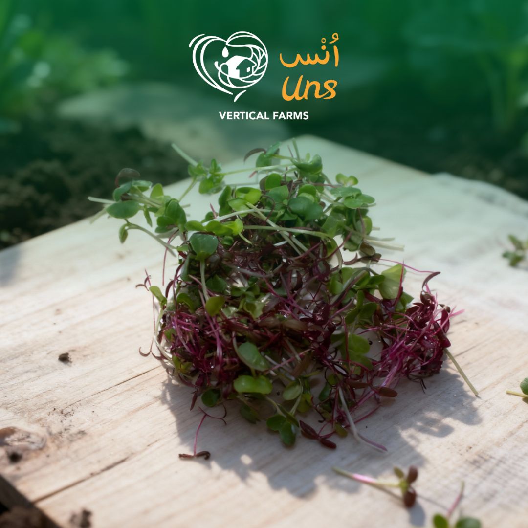 Uns Amaranth Broccoli Mix 15G Clear Pet Box