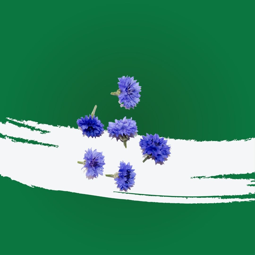 Uns Assorted Corn Flower 6Pcs Clear Pet Box