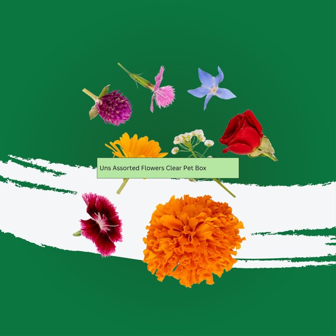 Uns Assorted Flowers Clear Pet Box