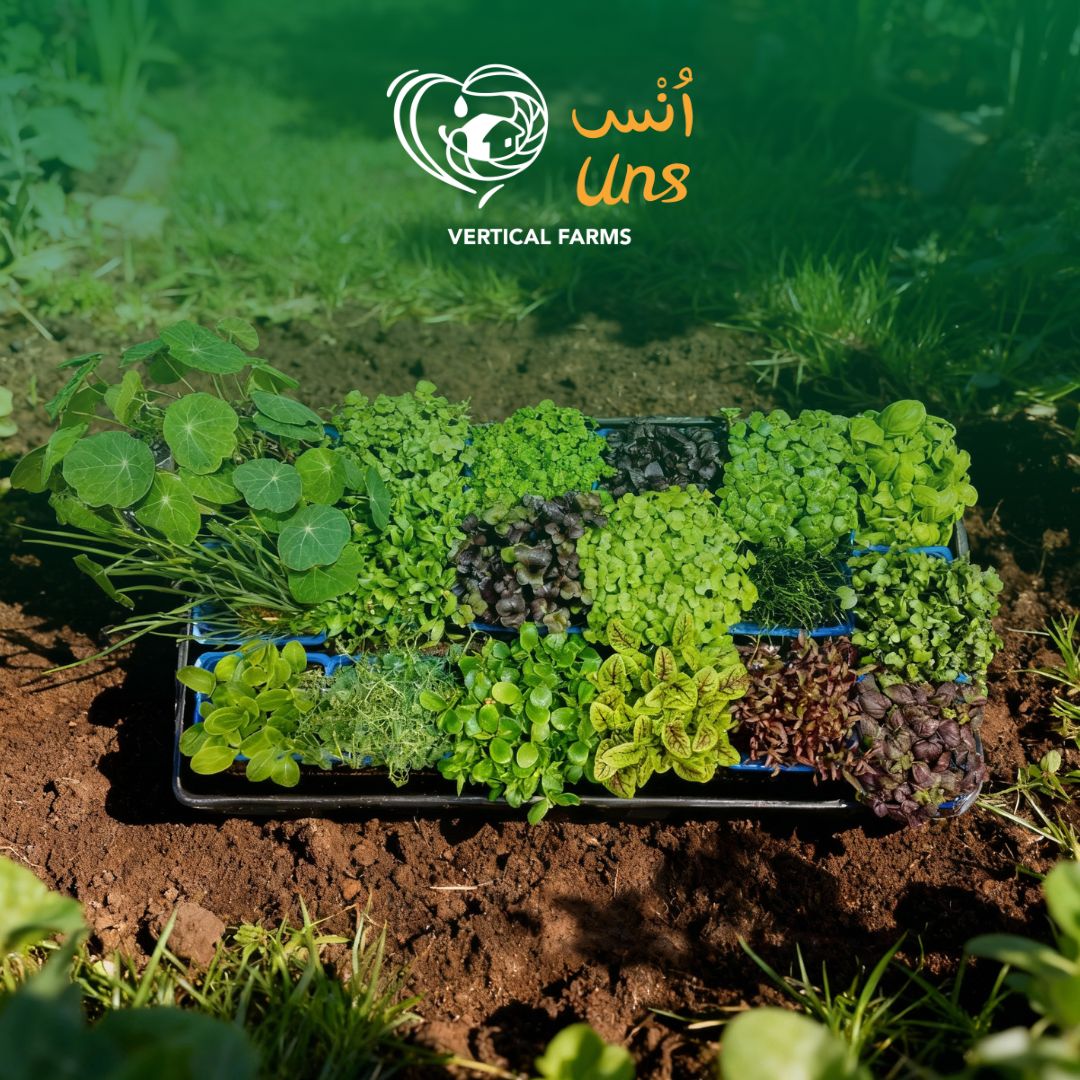 Uns Assortment Microgreen Mix 18 Punnet Carton