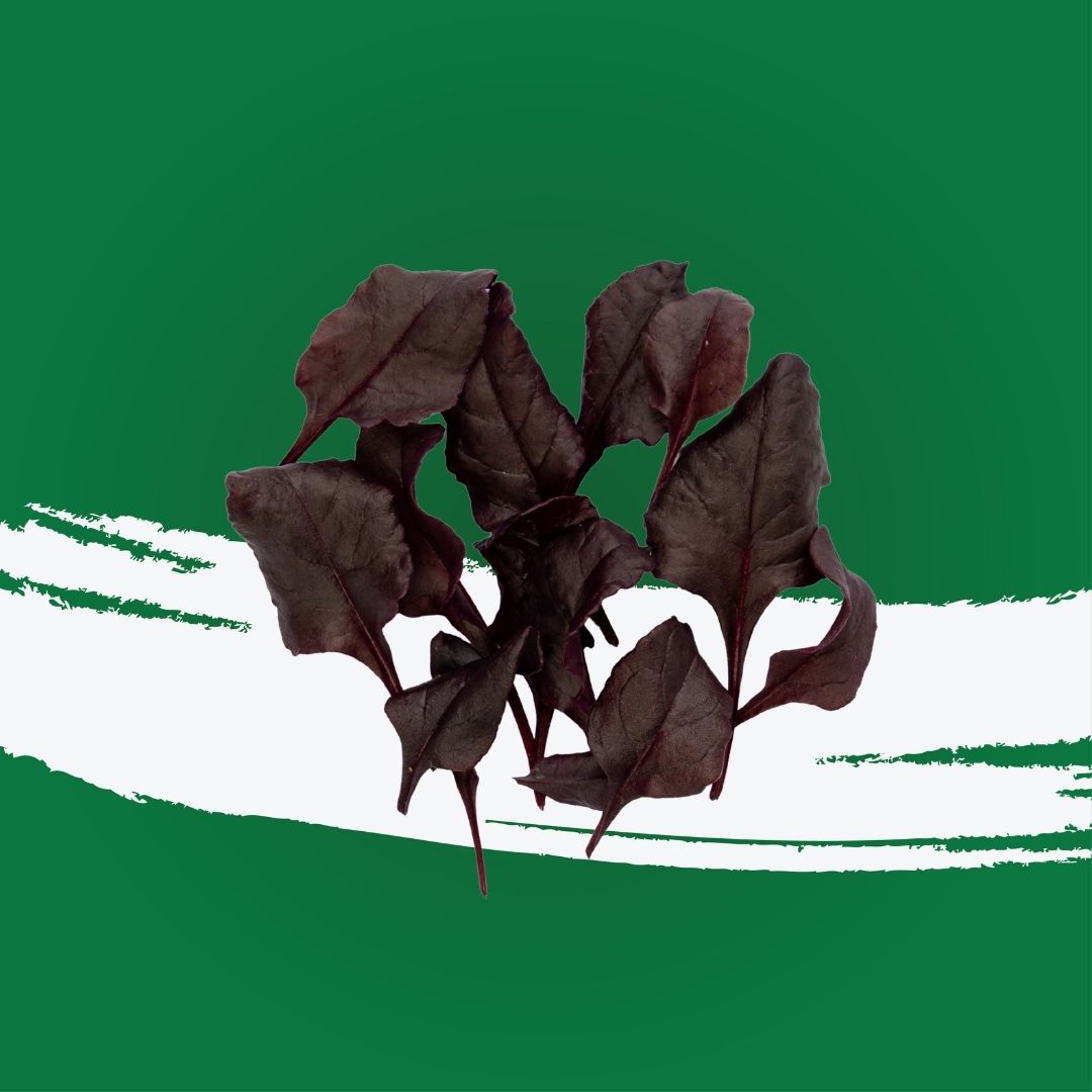 Pesticide-free bulls blood beetroot locally grown