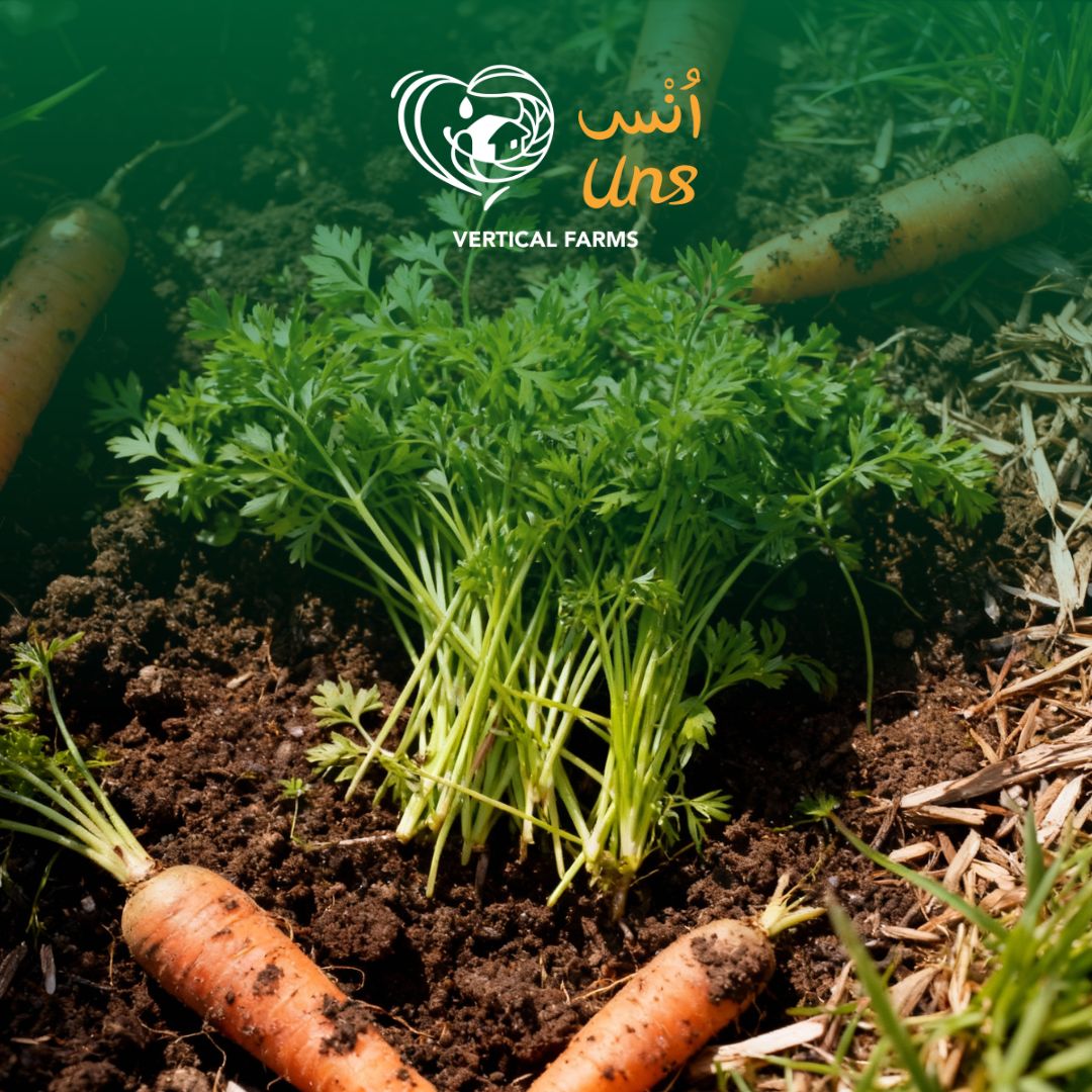 Uns Carrots Cress 10G Clear Pet Box