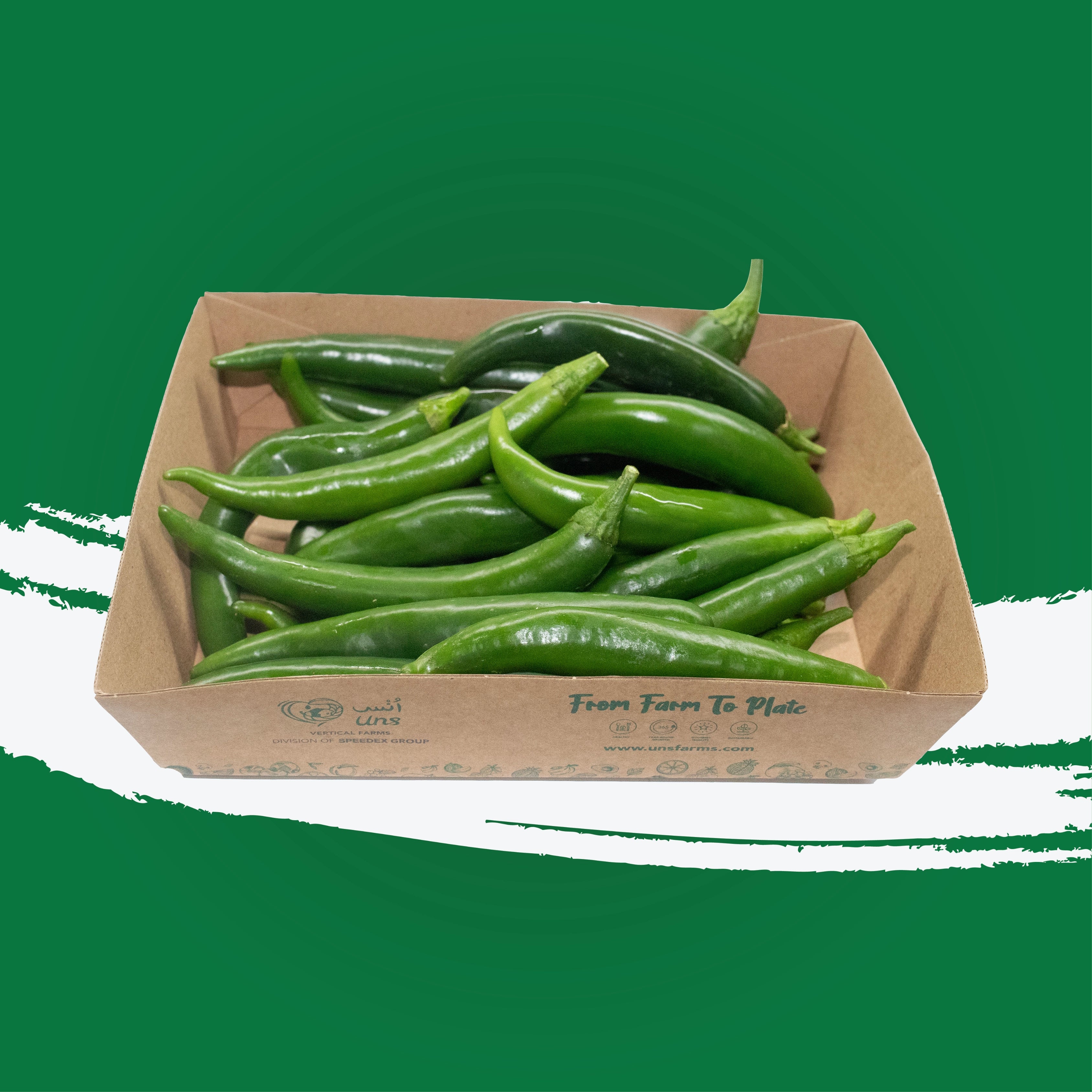 Green chillies for everyday cooking and tempering