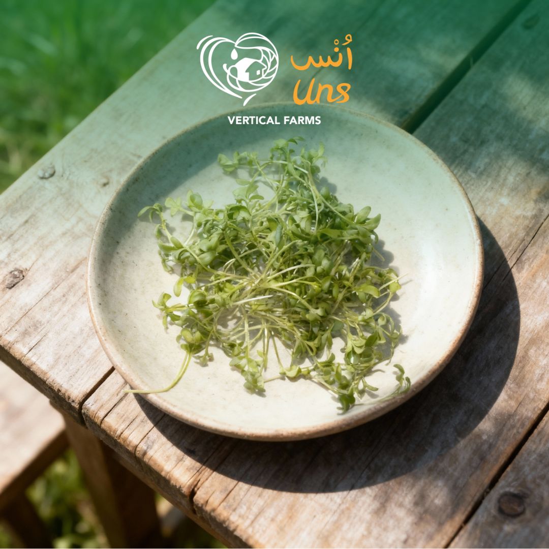 Peppery garden cress for salads and garnishing