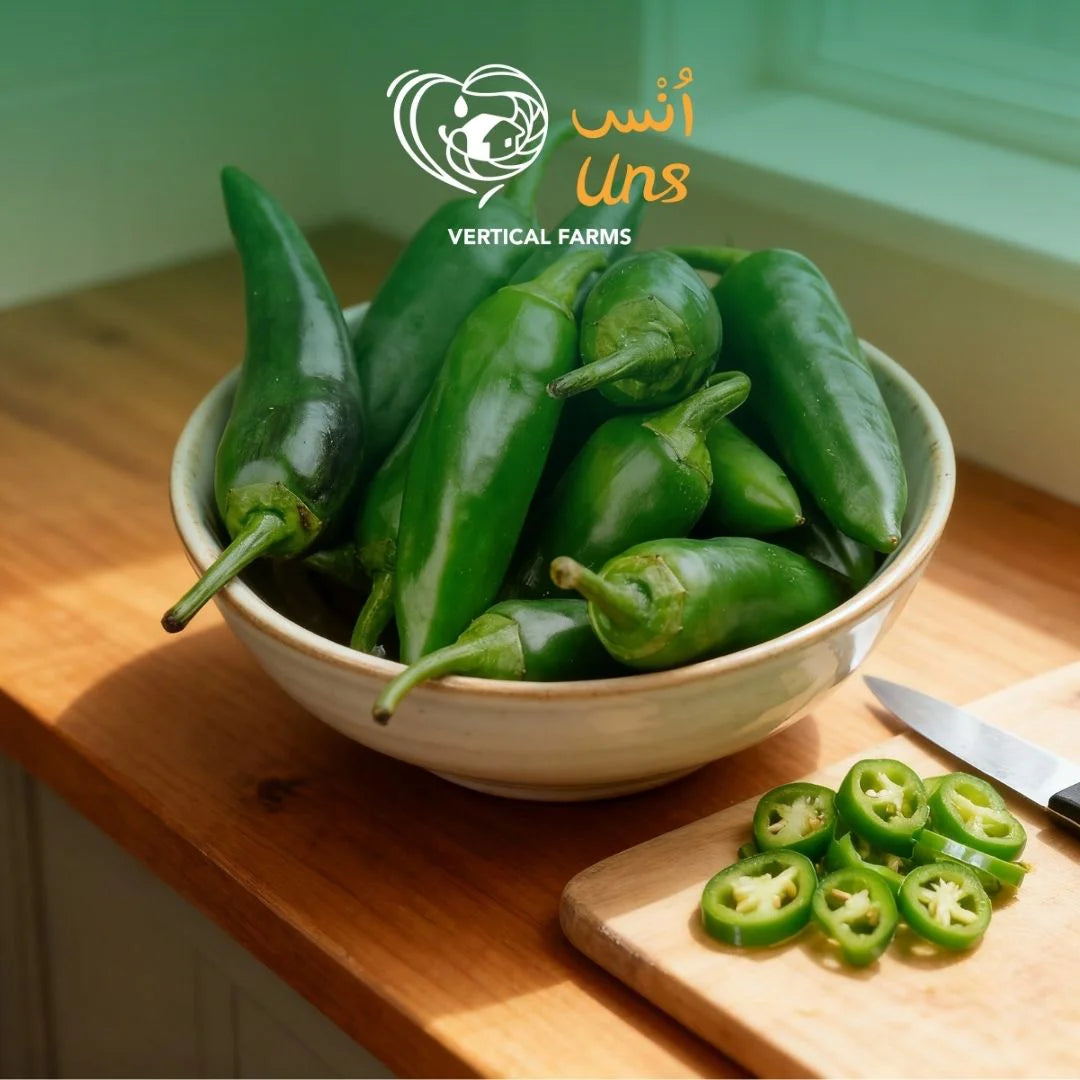Uns Jalapeno Green 350G