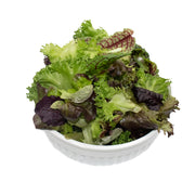 Uns Mesclun Salad 500G Clear Pet Bag