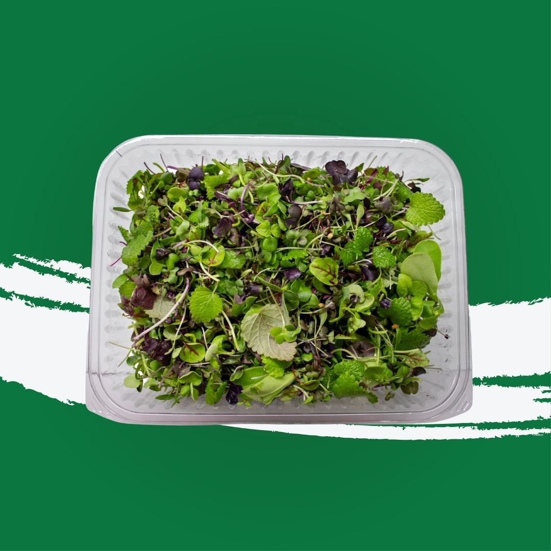 Pesticide-free mixed microgreens locally grown