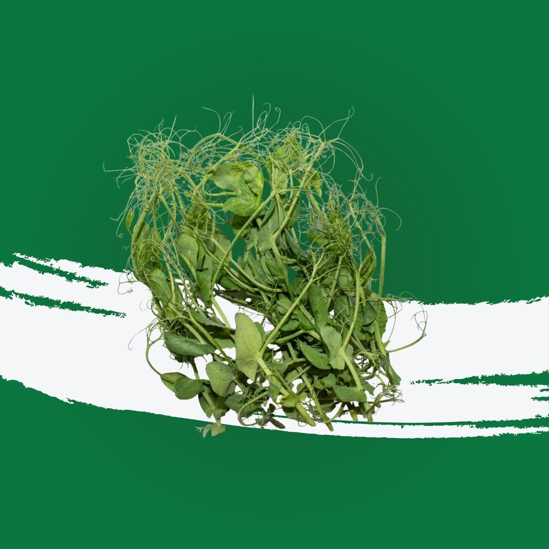 Tender peashoots with fresh green flavour