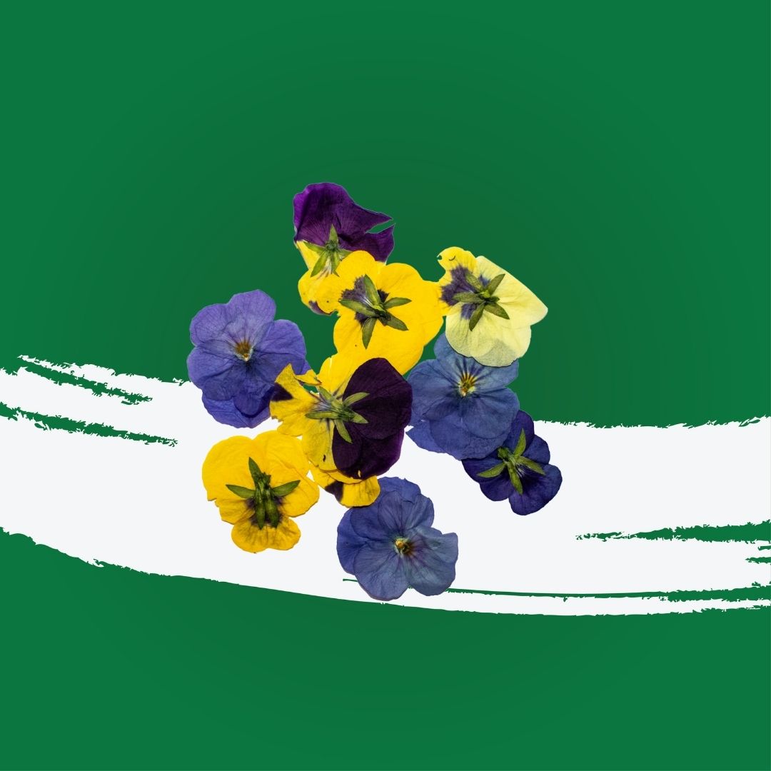 Uns Press Dried Flowers 25Pcs Clear Pet Box