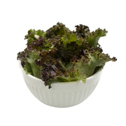 UNS Red Crunchy Lettuce 250g Clear Pet Bag