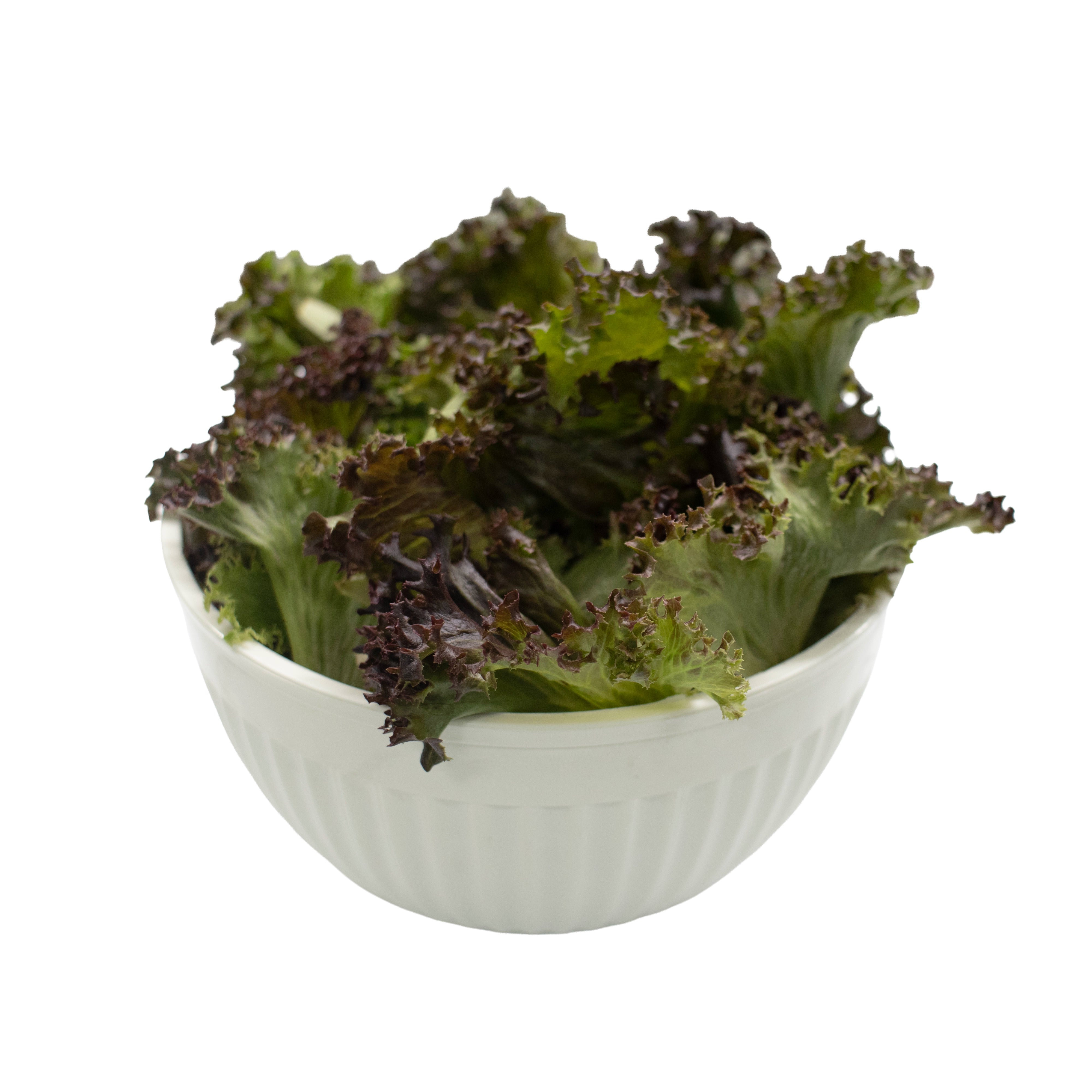 UNS Red Crunchy Lettuce 250g Clear Pet Bag