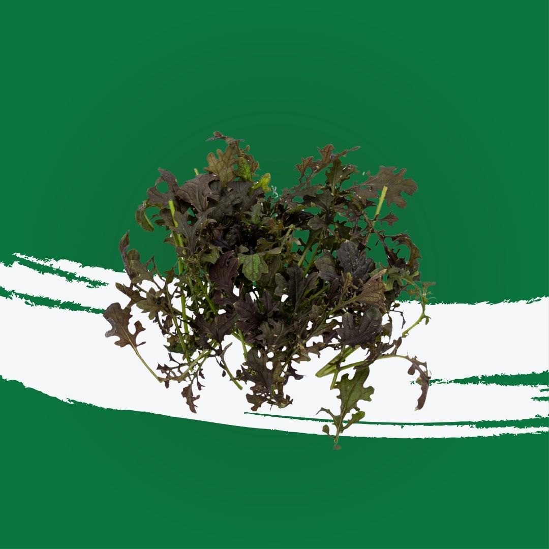 Pesticide-free red mizuna locally grown