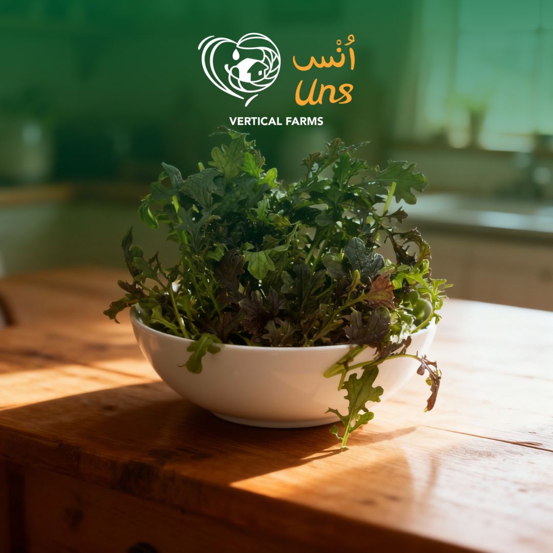 Tender red mizuna leaves with mild spice