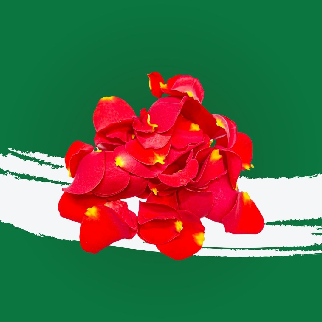 Uns Rose Red Petals 60Pcs Clear Pet Box