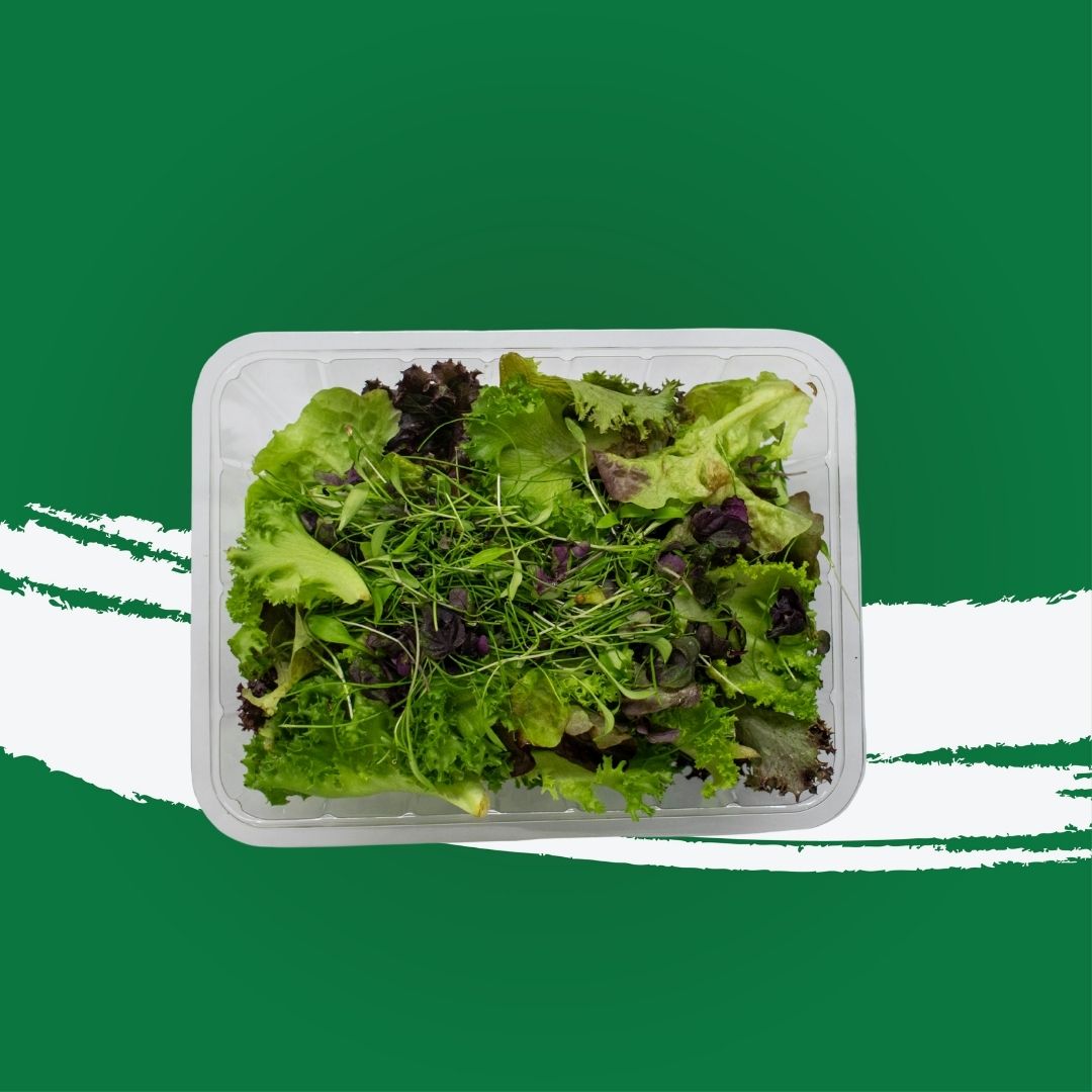 Pesticide-free summer savory microgreens locally grown