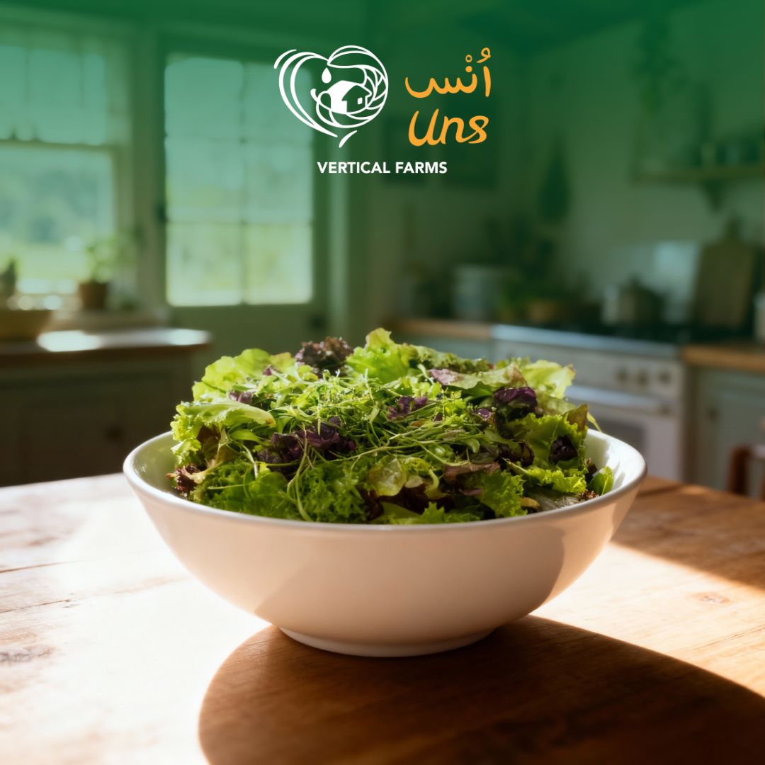 Aromatic summer savory microgreens for cooking