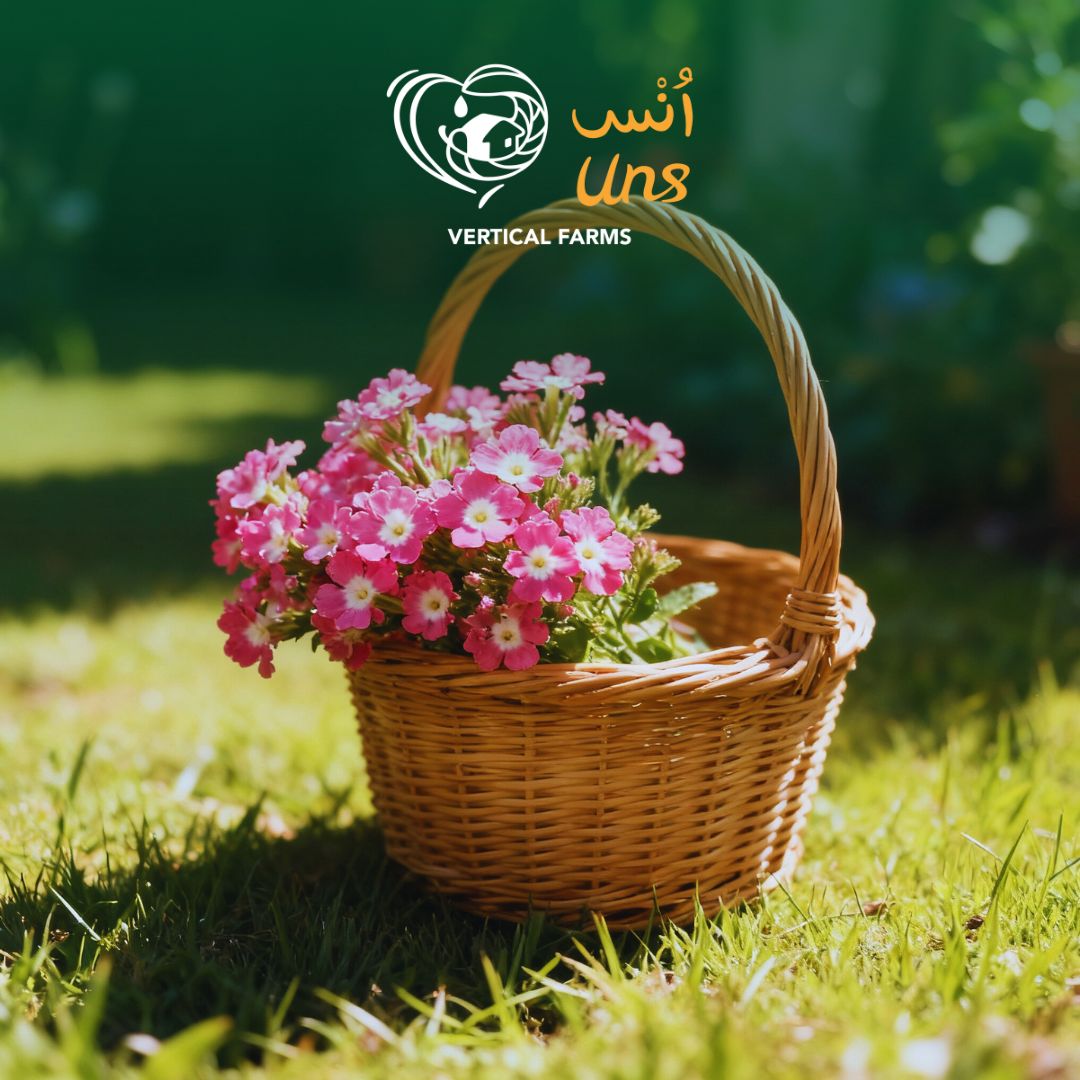 Uns Verbena Flower 15Pcs Clear Pet Box