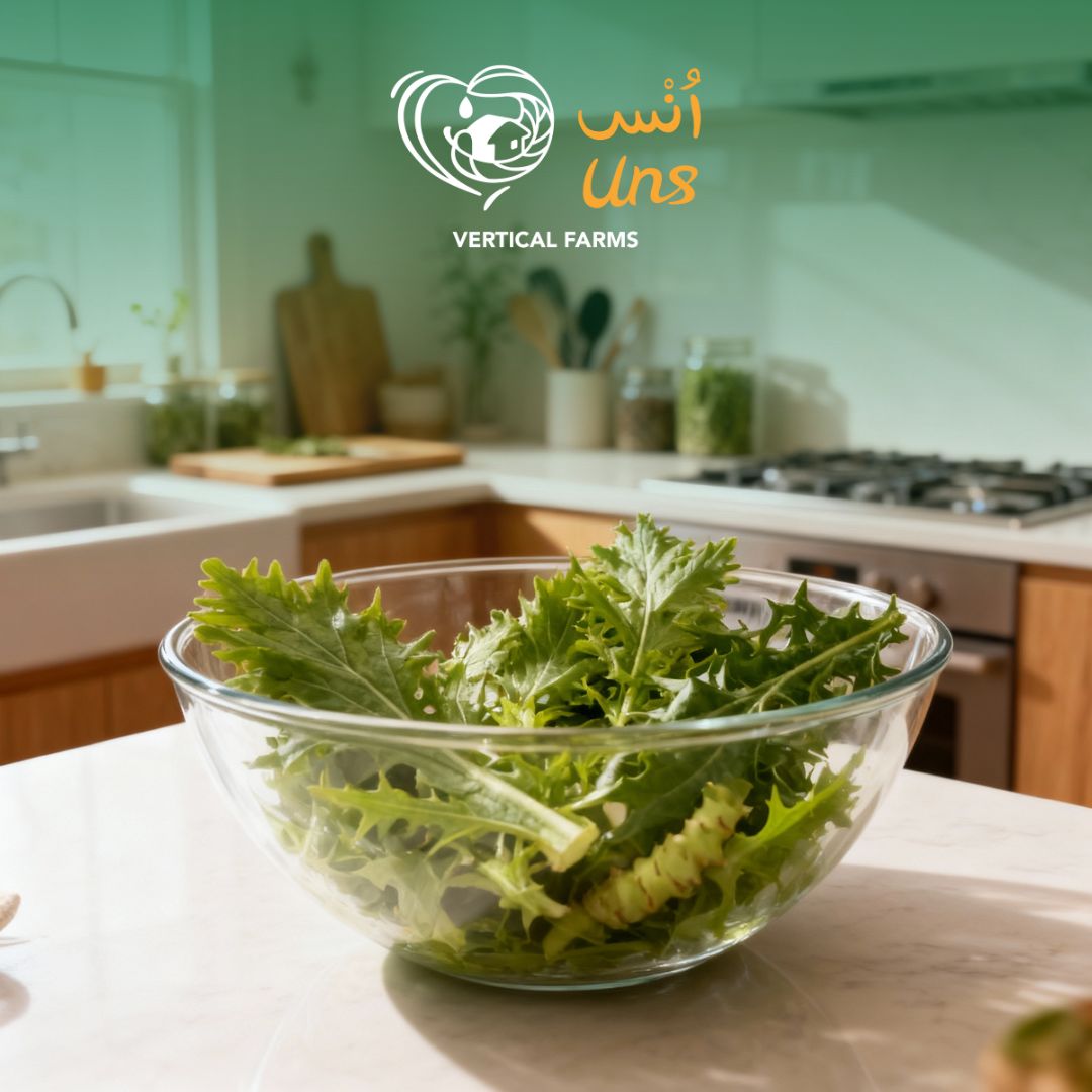 Uns Wasabina Leaves 20G Clear Pet Box