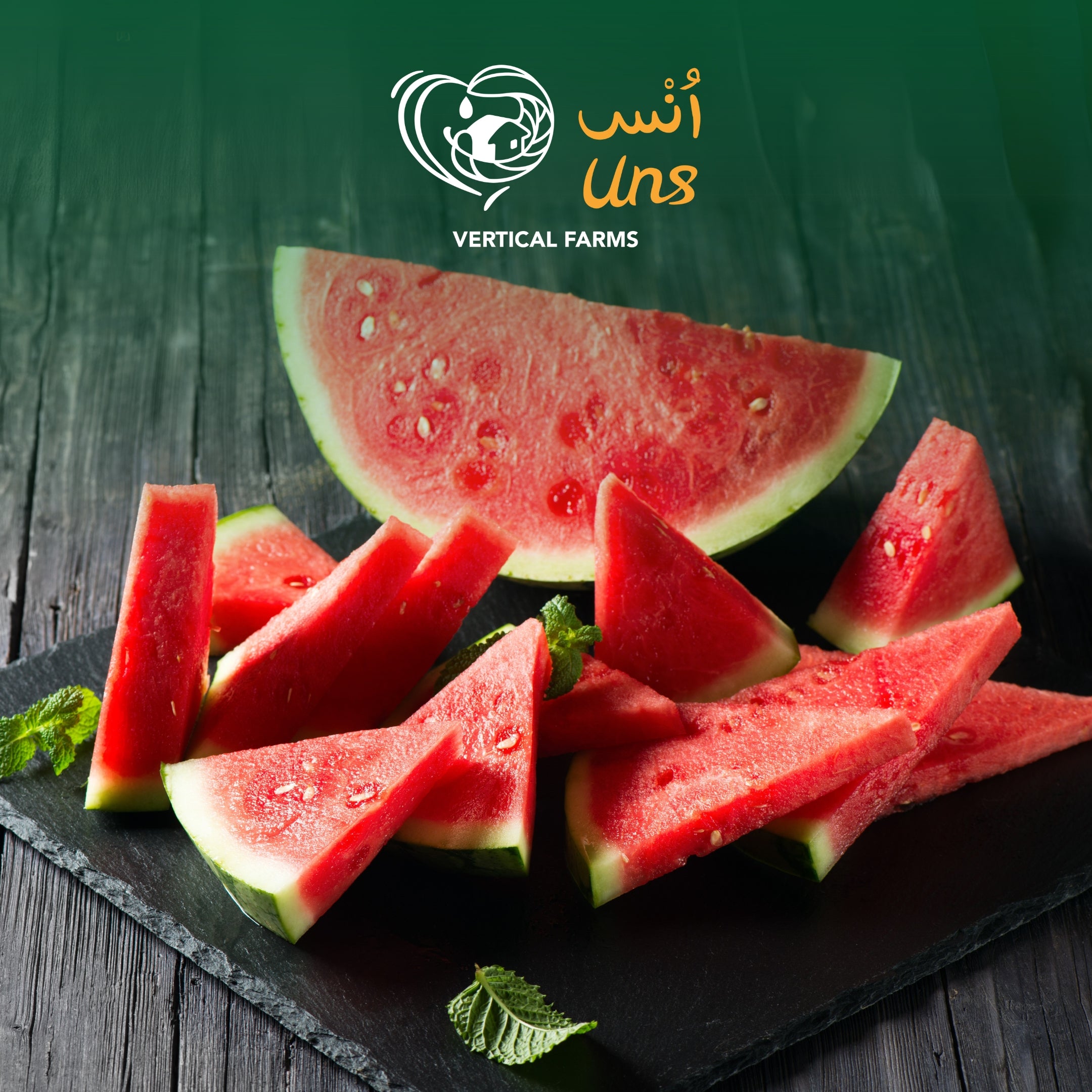 Water Melon Me