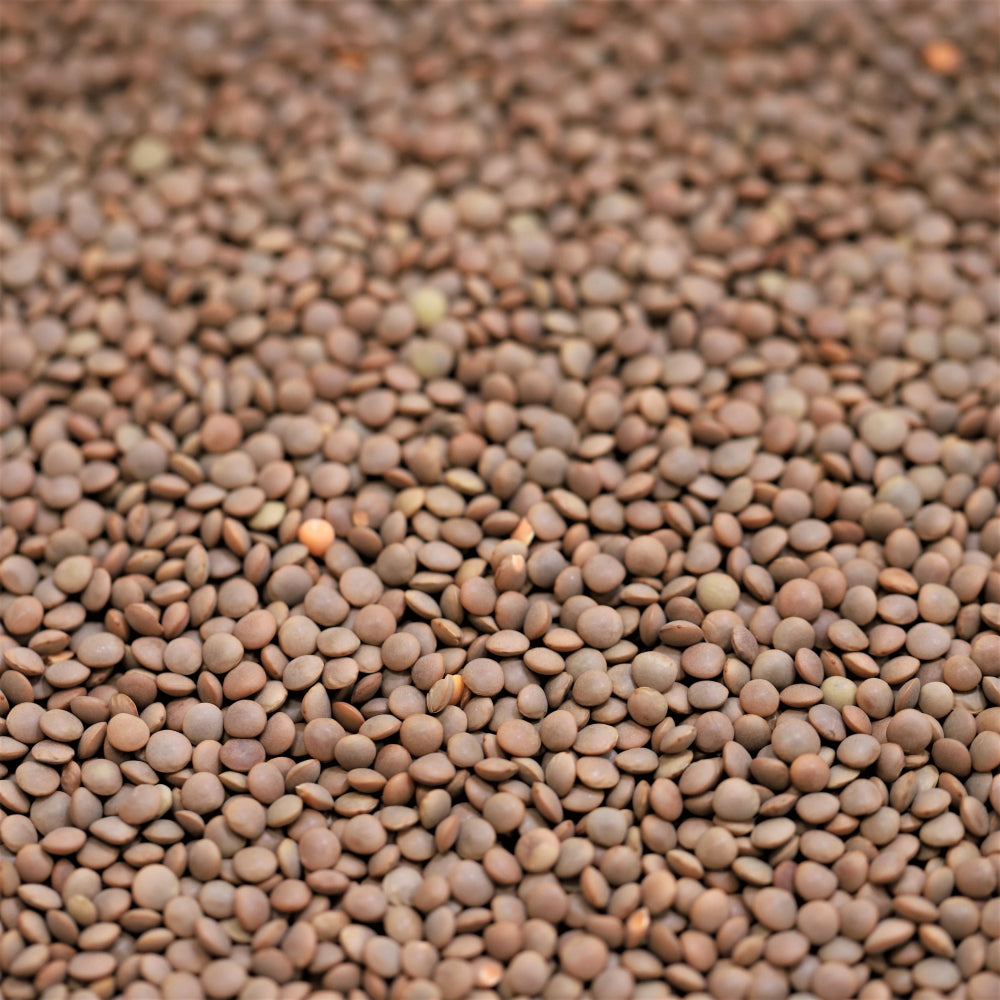 Australian Red Lentils 100g