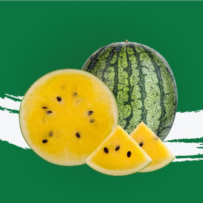Yellow Watermelon Thailand
