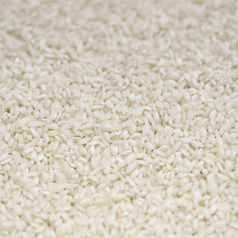 Organic Arborio Risotto Rice 100g