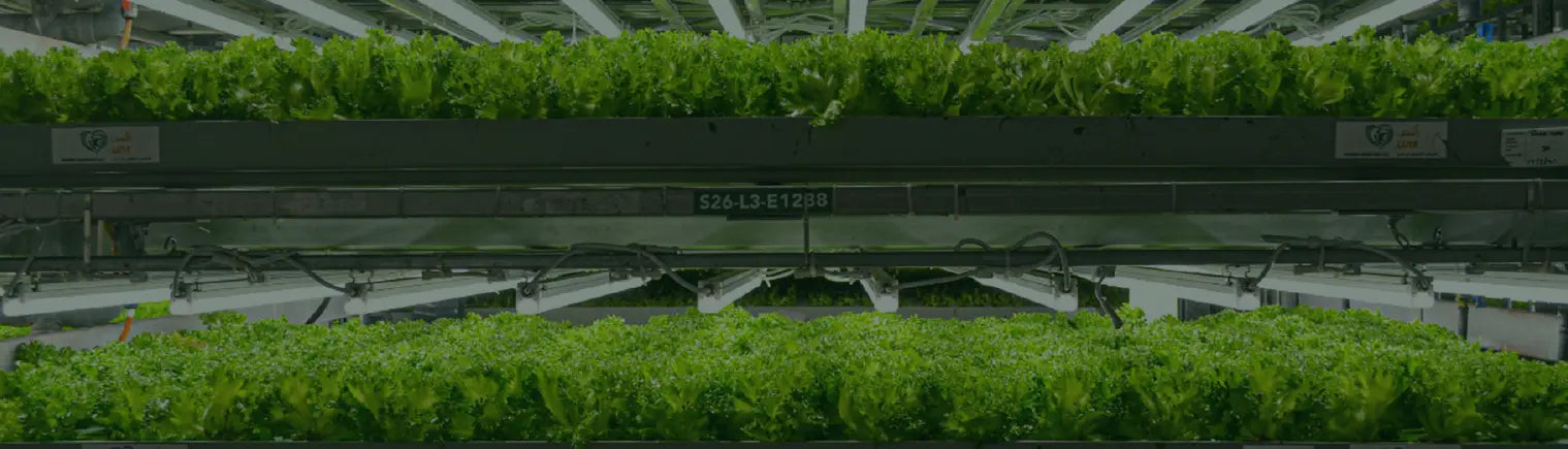 UNS Farms